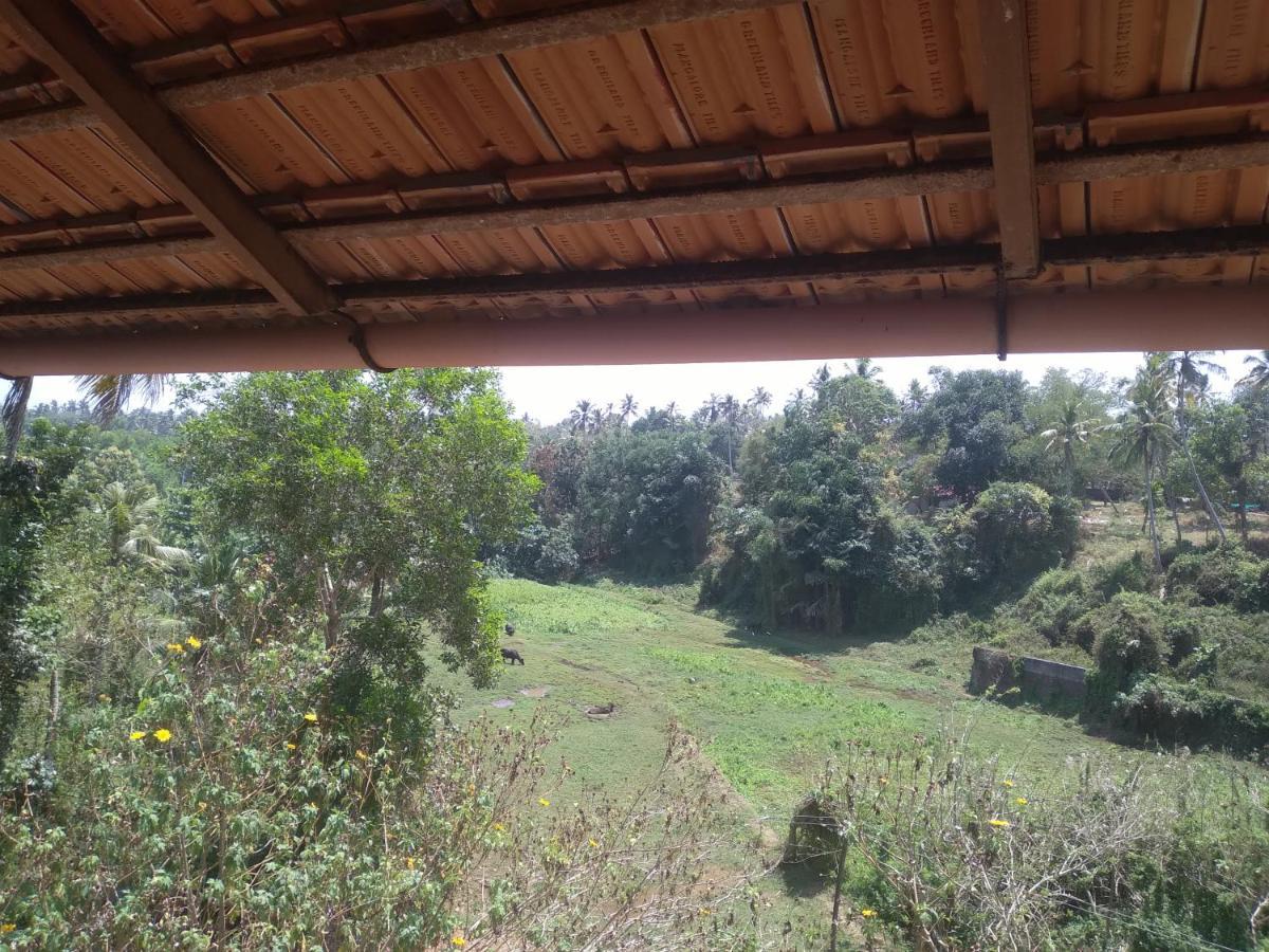 Joseph Dale Homestay Varkala Bagian luar foto